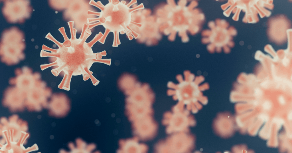 germ magnified