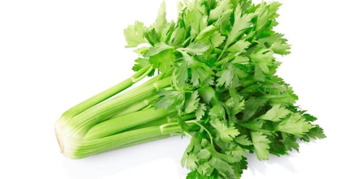 Celery
