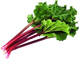 Rhubarb leaves