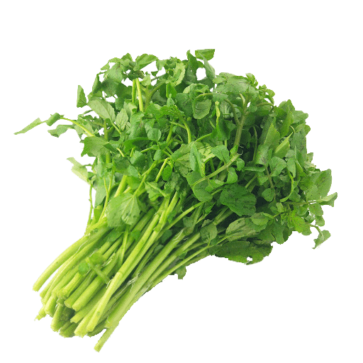Watercress