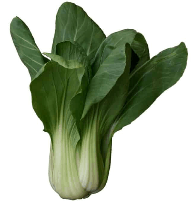 Bok Choy