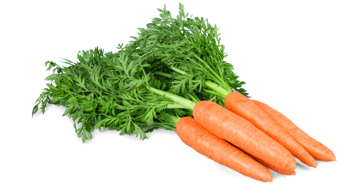 Carrots