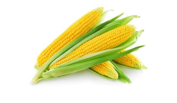 Corn
