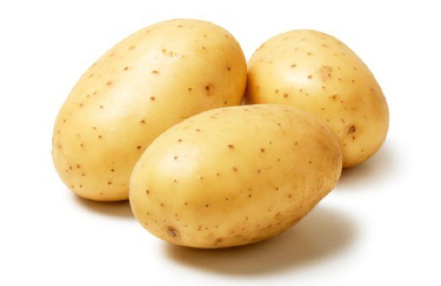Potato