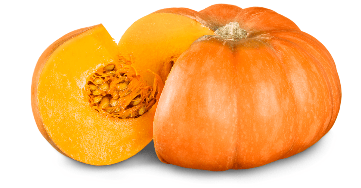 Pumpkin