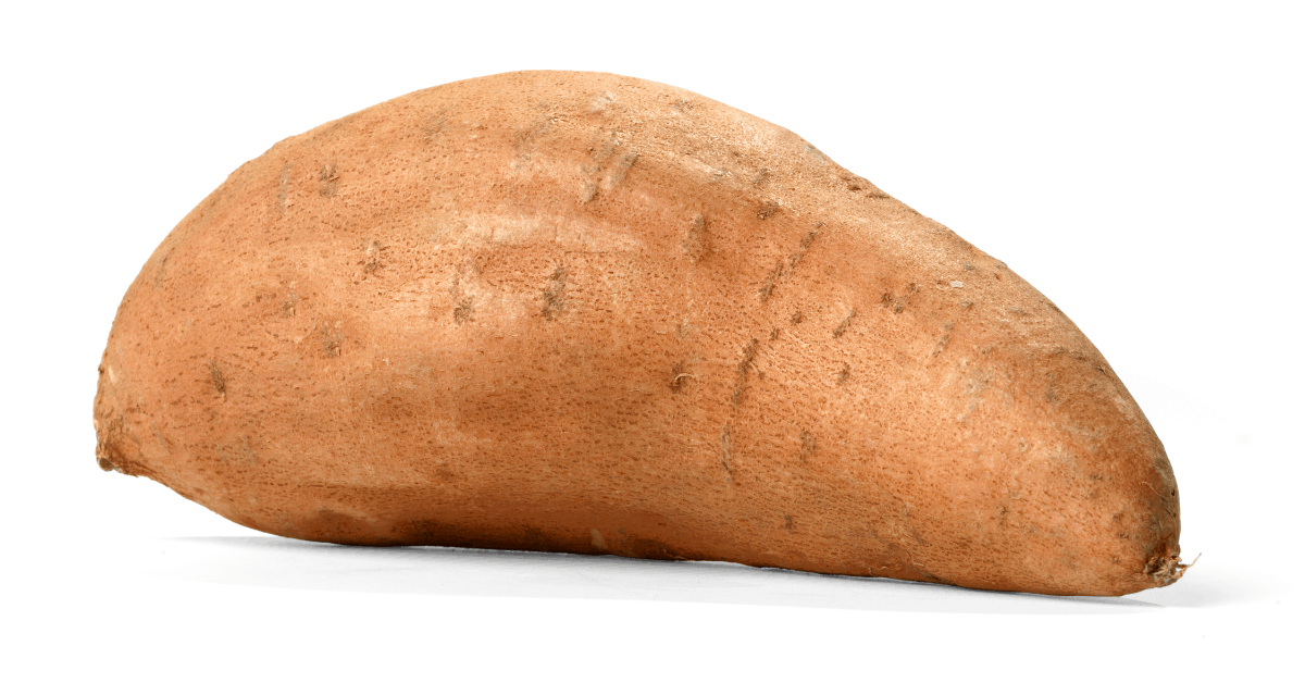 Sweet Potato
